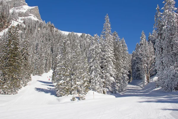 Inverno nelle Alpi — Foto Stock