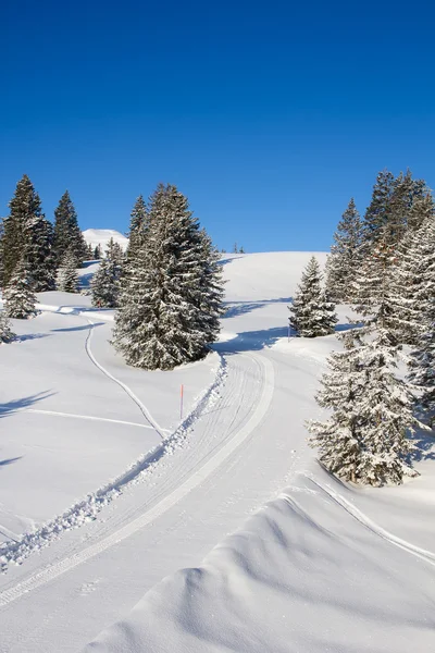 Esqui em alpes — Fotografia de Stock