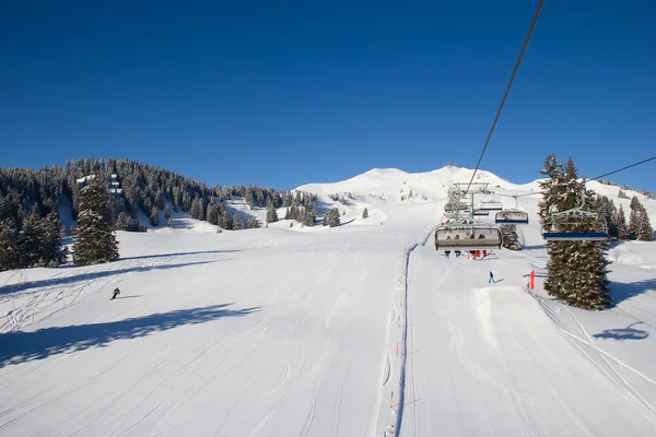 Ski dans les Alpes — Photo