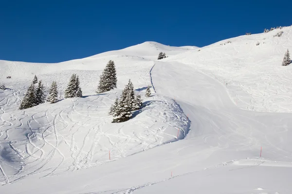 Skiing in alps — Stock Photo, Image