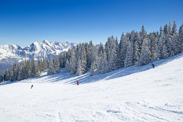 Esquí en los Alpes — Foto de Stock