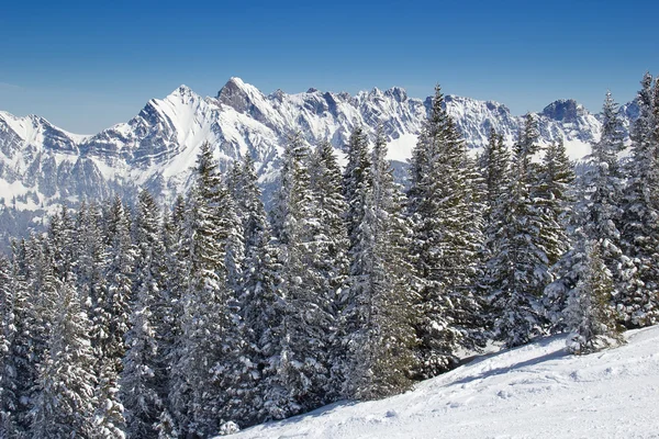 Skiën in de Alpen — Stockfoto