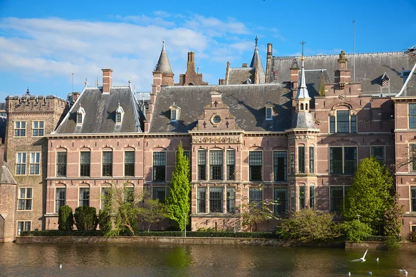 Binnenhof — Stock Photo, Image