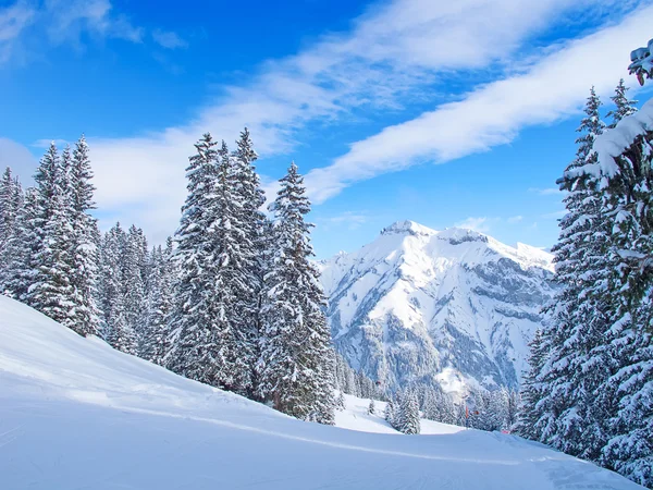 Skiën helling — Stockfoto