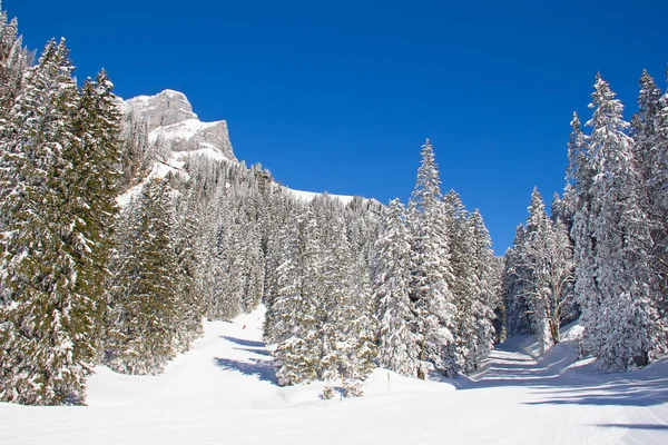 Winter in de Alpen — Stockfoto