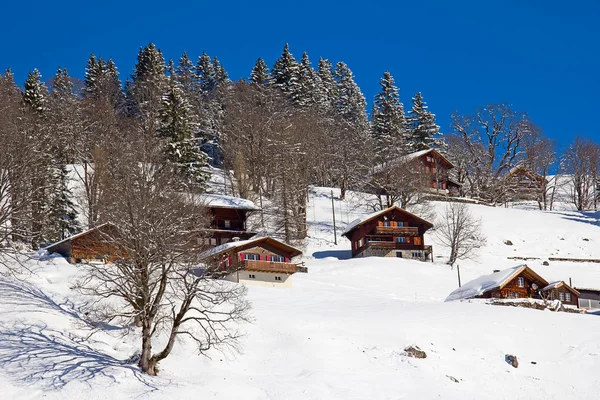 Vinter i Alperna — Stockfoto