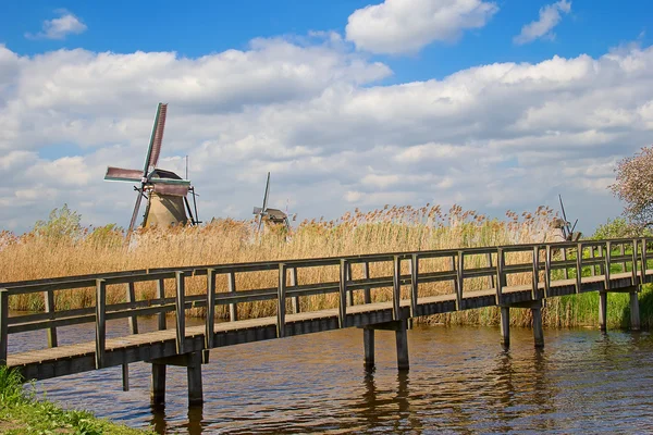 Windmils — Stok fotoğraf