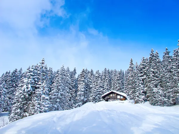 Skiing slope — Stock Photo, Image