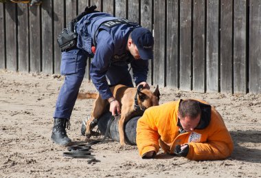 Polis köpeklerinin iş başında