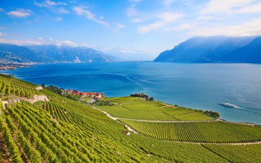 Lavaux bölgesi
