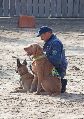 Polis köpeklerinin iş başında