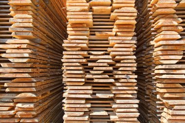 taze ahşap Çıtçıt