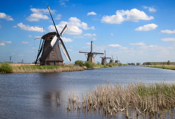 Windmolen — Stockfoto