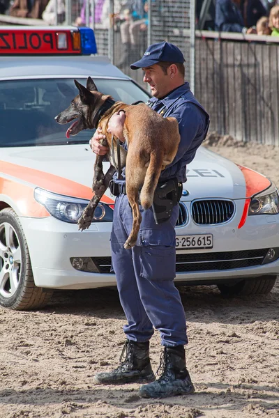 仕事で警察犬 — ストック写真