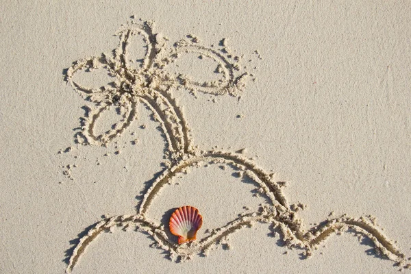 Sulla spiaggia — Foto Stock