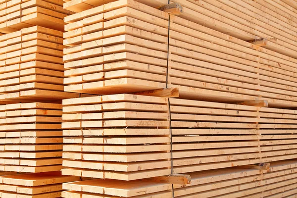 Borchie di legno fresco — Foto Stock