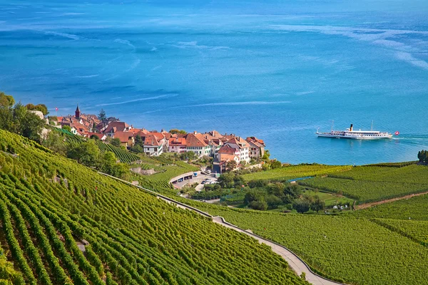 Região de lavaux — Fotografia de Stock