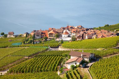 Lavaux bölgesi