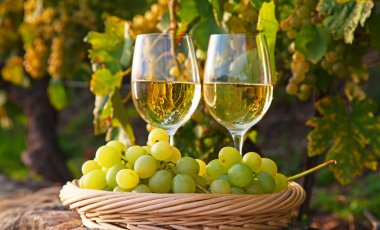 Lavaux bölgesi