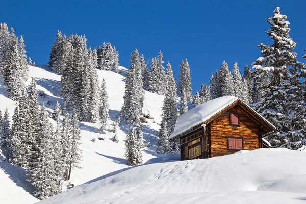 Winter in de Alpen — Stockfoto