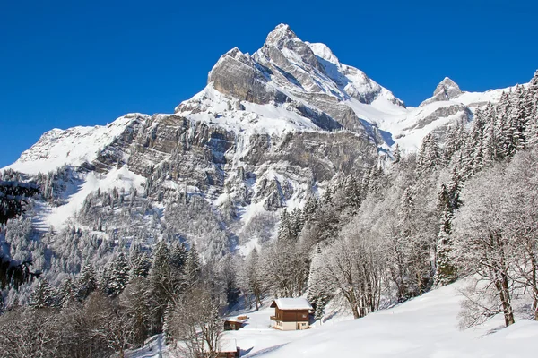 Zima w Alpach — Zdjęcie stockowe