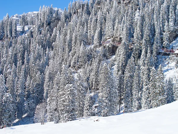 L'hiver dans les Alpes — Photo