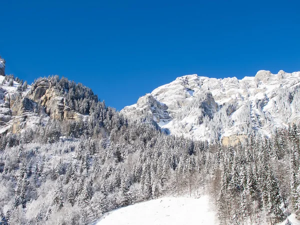 Winter landscape — Stock Photo, Image