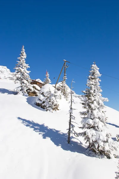 Paisaje invierno — Foto de Stock