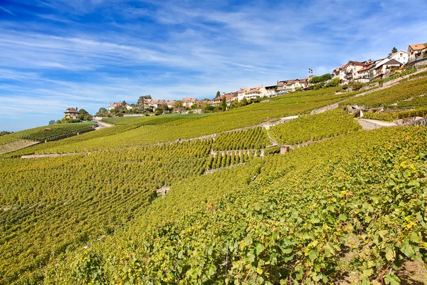 Região de lavaux — Fotografia de Stock