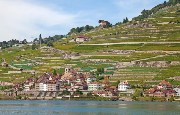 Região de lavaux — Fotografia de Stock