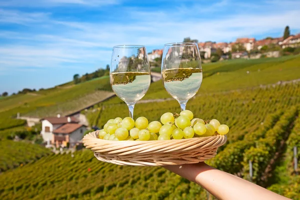 Lavaux bölgesi — Stok fotoğraf