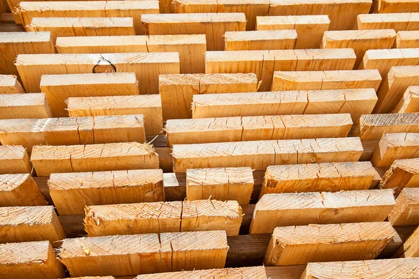 Świeże kołki drewniane — Zdjęcie stockowe