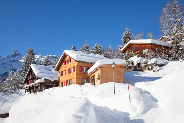 Winter in de Alpen — Stockfoto