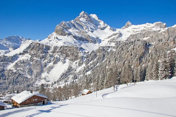 Winter in de Alpen — Stockfoto