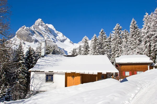 Winter in de Alpen — Stockfoto