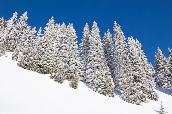 Winter in alps — Stock Photo, Image