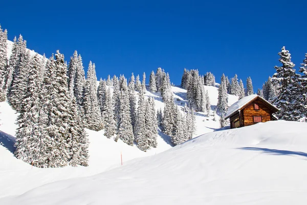 Winter in de Alpen — Stockfoto