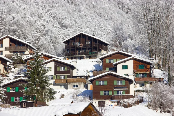 Inverno nelle Alpi — Foto Stock