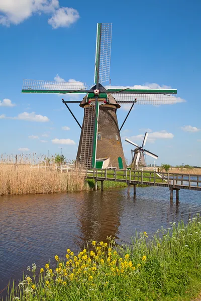 Windmühlen — Stockfoto