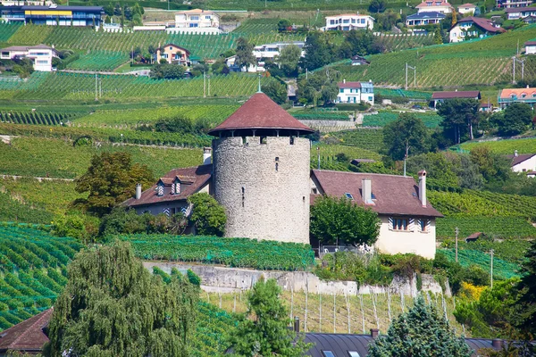 W regionie Lavaux — Zdjęcie stockowe