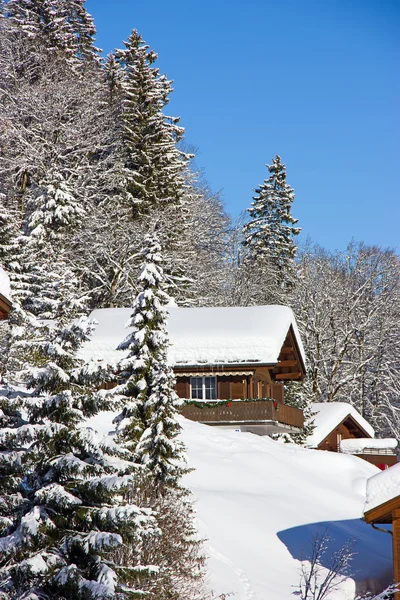 Inverno nelle Alpi — Foto Stock