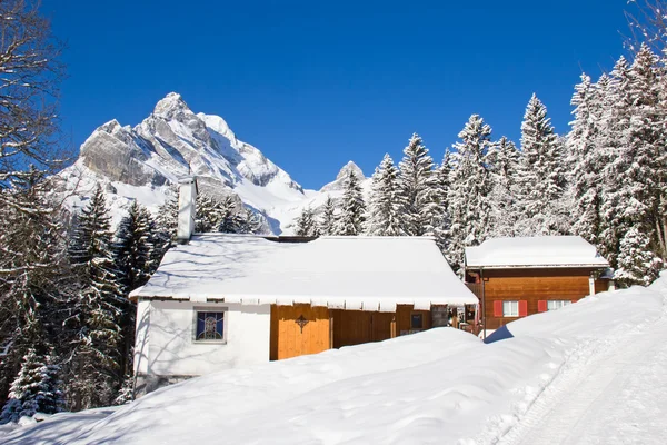 Winter in de Alpen — Stockfoto