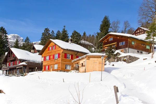 Paesaggio invernale — Foto Stock