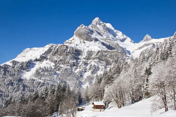 Winter in de Alpen — Stockfoto