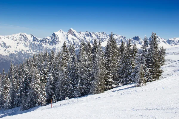 Skiën helling — Stockfoto