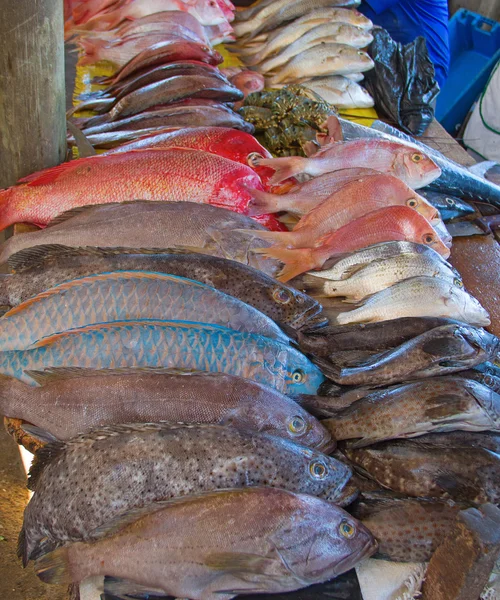 Mercato del pesce Maputo — Foto Stock