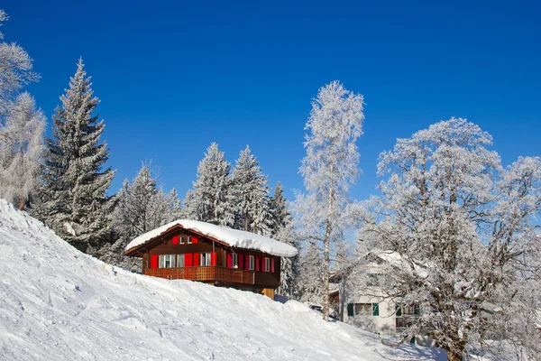 Skiing slope — Stock Photo, Image