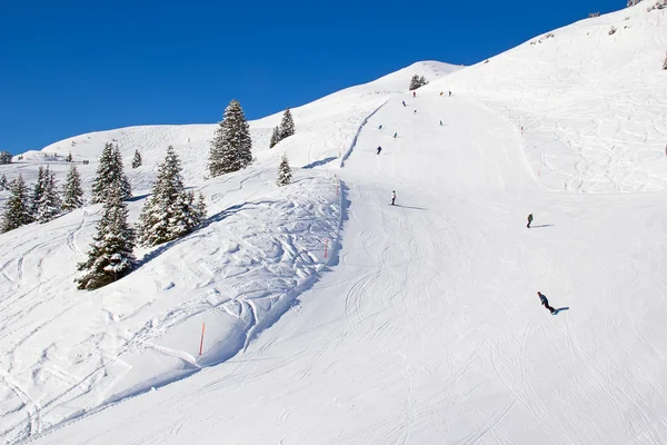 Skiën helling — Stockfoto