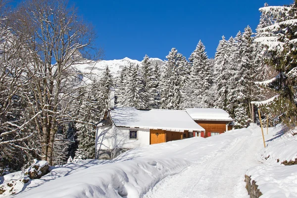 L'hiver dans les Alpes — Photo