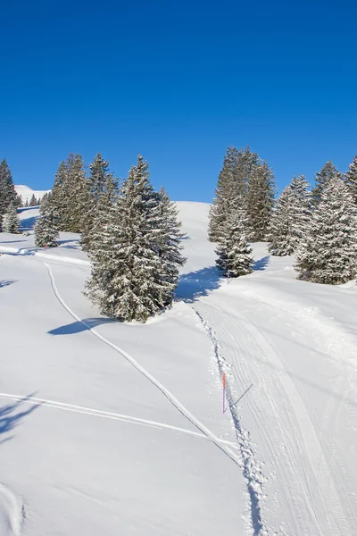 Skiën helling — Stockfoto